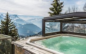 Hotel Le Grand Chalet